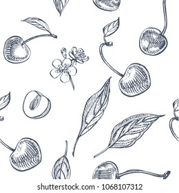 Cherry set. Hand drawn berry isolated on white background. Summer fruit engraved vector style illustration. Great for label, poster, print. Seamless pattern