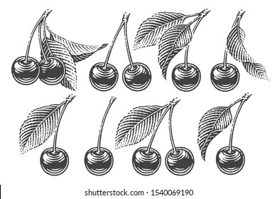 Cherry set. Hand drawn engraving style illustrations.