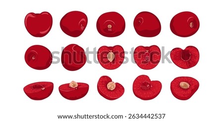 Cherry. Set with whole and half cherries from different angles. Berries collection. Cherry hand drawn.	