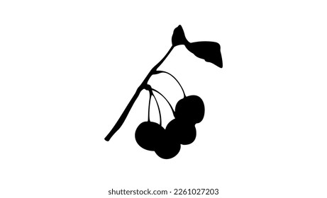 cherry silhouette, high quality vector