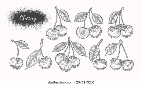 Cherry sketch. Cherry berries set. Black contour of cherries on a white background. Great for labels, poster, prints.
