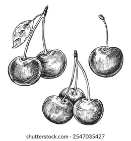 Ilustração gráfica de tinta de esboço de cereja, desenho de silhueta de rascunho, preto na arte de linha branca.
