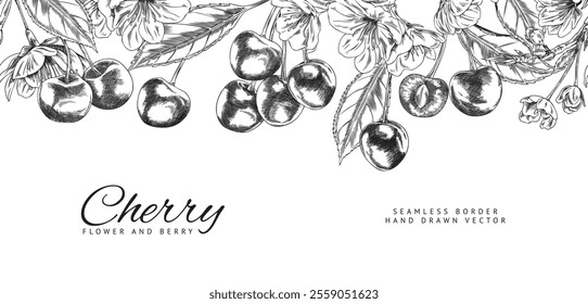 Cherry sketch. Seamless border on top. Bunches of berries with twigs, leaves and blooming flowers. Horizontal banner. Template design. Natural, organic elements. Hand drawn. Vector illustration.