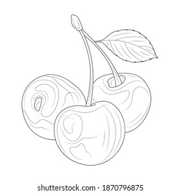 Cherry sketch.Berry.Coloring book antistress for children and adults. Zen-tangle style.Black and white drawing