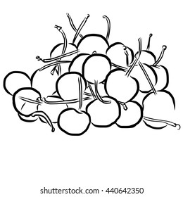 Cherry Sketched Outline Vector Illustration, Hand drawn Artwork