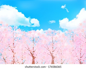 Cherry sky background