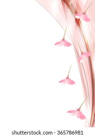 Cherry spring flower background