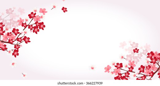 Cherry spring flower background