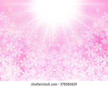 Cherry spring flower background