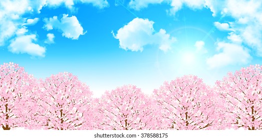 Cherry spring flower background