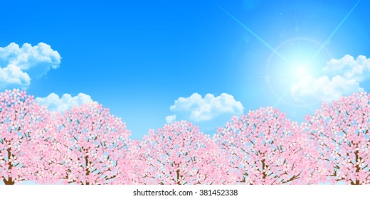 Cherry spring flower background