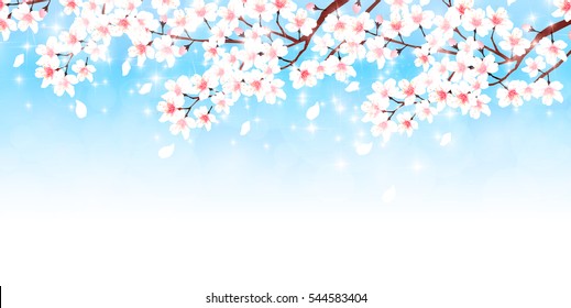 Cherry spring flower background