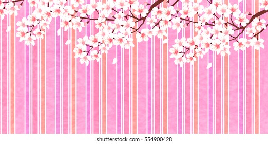 Cherry spring flower background