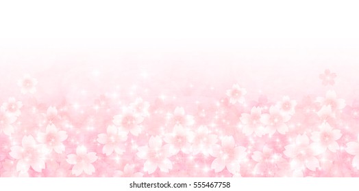 Cherry spring flower background