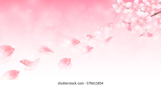 Cherry spring flower background
