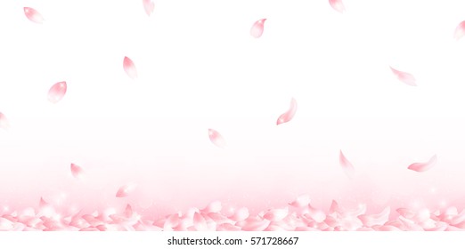 Cherry spring flower background
