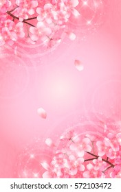 Cherry spring flower background
