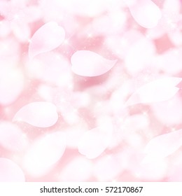 Cherry spring flower background
