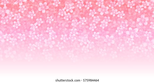 Cherry spring flower background