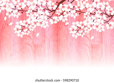 Cherry spring flower background