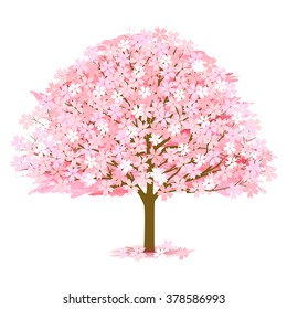 Cherry spring flower icon