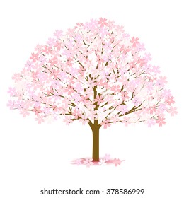 Cherry spring flower icon