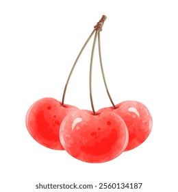 Cherry with stem, isolated on white background.Red berries. Vector illustration