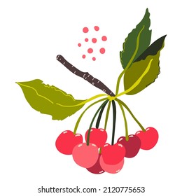 Cereza. Berry dulce. Fruta. Ilustración del vector