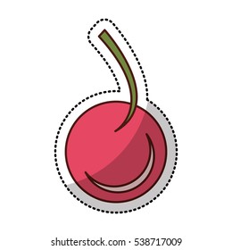 cherry sweet fruit isolated icon vector illustration design