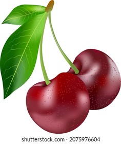 Cereza. La fruta dulce. Establecer icono de vector 3d. Ilustración realista
