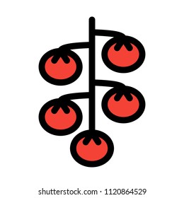 Cherry Sweet Tomato