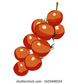 Cherry Tomato branch hand drawn isolated vector icon on white color background. Popular vegetarian food. Can be used for T-shirts, aprons, fabrics, wrapping, logos, banners, flyers, stickers, posters.