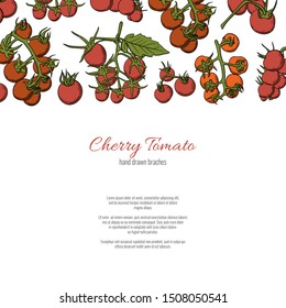 Cherry tomato branches hand drawn cartoon doodle style page template. Stock vector
