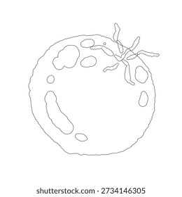 Línea de sección transversal de tomate de cereza