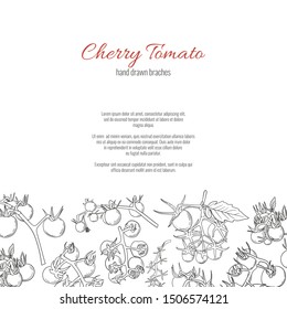 Cherry tomato hand drawn doodle page design template. Stock vector