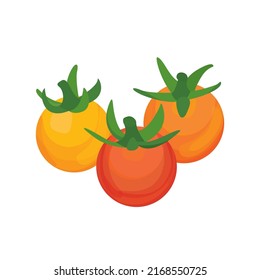 Cherry Tomato, Tomato Icon, Tomato Vector, Summer Garden Vegetable, Summer Tomato, Vegetable Vector, Organic Vegetable, Vector Illustration Background	