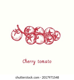 Cherry tomato. Ink black and white doodle drawing in  woodcut style