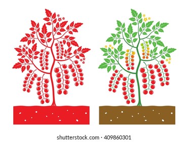 cherry tomato plant with leaves and fruits