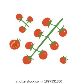 Cherry tomato set. Red fresh tomatoes: branch, half and slice. Flat hand drawn illustration of vegetables.
