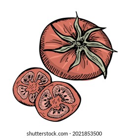 Cherry tomato. Whole tomato and slices of tomatoes in doodle style. Flat vegetables isolated on white. Vegan, farmed, organic food concept. Vector