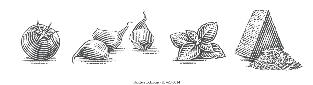 Cherry tomatoe, basil, cheese and garlic cloves. Hand drawn engraving style illustrations. Vector illustration.
