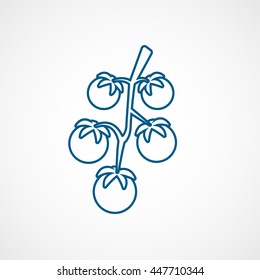 Cherry Tomatoes Blue Line Icon On White Background