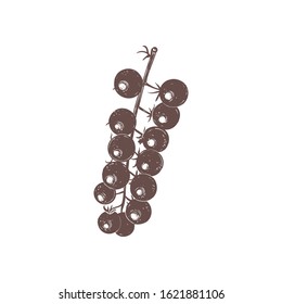 Cherry tomatoes branch vector illustration. Cherry tomatoes sketch hand drawing.