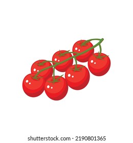 Cherry tomatoes branch. Vector illustration icon isolated on white background.