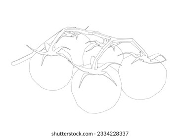 Cherry tomatoes branch vector line art illustration. Contour drawing art illustration. Outline of tomatoes organic food in silhouette on a white background. Linear stylized. Minimalist.