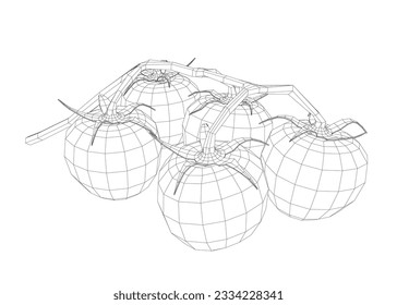 Ilustración artística de la línea vectorial de tomates cerezos. Ilustración de dibujo de marco alámbrico. Marco de alambre de tomates comida orgánica en silueta sobre un fondo blanco. Linear estilizado. Minimalista. 3 D.