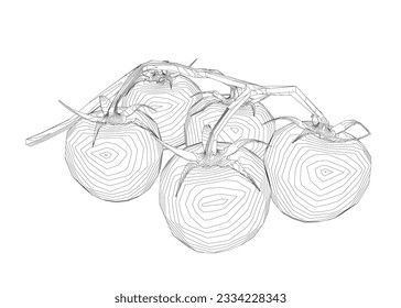 Cherry tomatoes branch vector line art illustration. Contour drawing art illustration. Outline of tomatoes organic food in silhouette on a white background. Linear stylized. Minimalist.