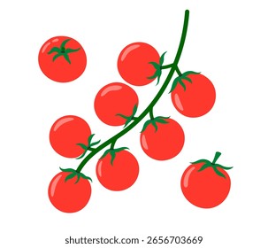 Cherry tomatoes branch. Vegetable icon. Healthy vegetarian food. Hand drawn flat vector illustration isolated on white background