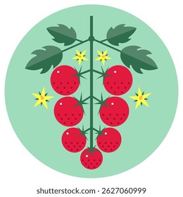 Cherry tomatoes bunch with leaves and flowers. Ripe red tomatoes. Symmetrical flat illustration on round background for label or packaging.
