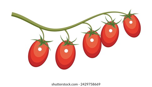 Cherry tomatoes - cream. Vector icon.